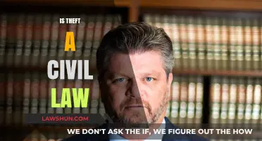 Is Theft a Civil Law Matter? Understanding Legal Implications