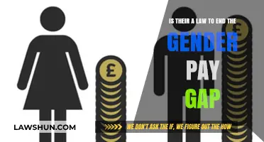 Closing the Gender Pay Gap: Legal Solutions and Global Efforts