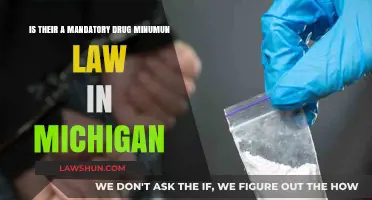Michigan's Drug Minimum Sentencing Laws: Mandatory or Optional?