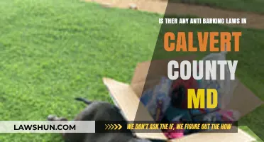 Calvert County MD Anti-Barking Laws: What You Need to Know