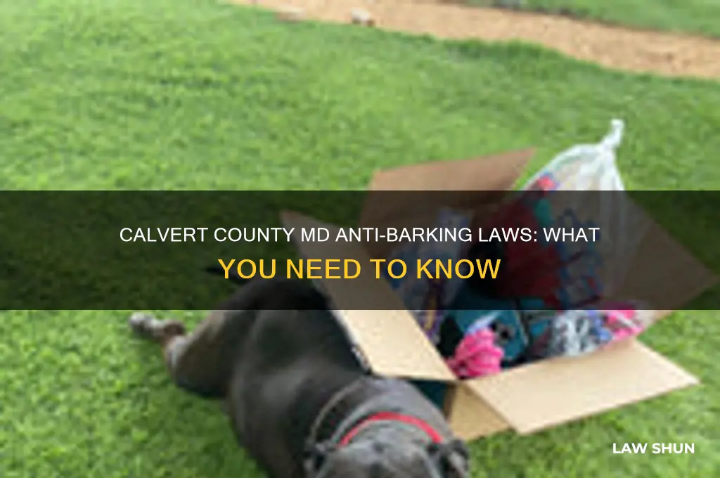 is ther any anti barking laws in calvert county md