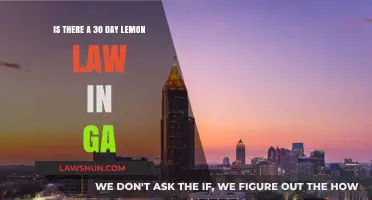 Georgia's Lemon Law: Does the 30-Day Rule Protect Car Buyers?