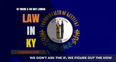 Kentucky's Lemon Law: Does a 30-Day Protection Exist for Buyers?
