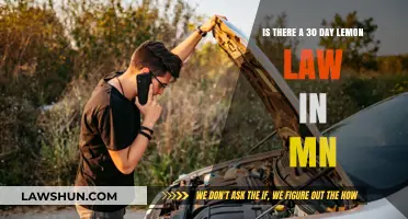 Minnesota Lemon Law: Does the 30-Day Rule Protect Car Buyers?