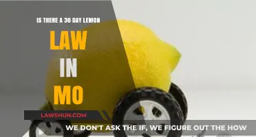 Missouri's Lemon Law: Does the 30-Day Rule Protect Car Buyers?