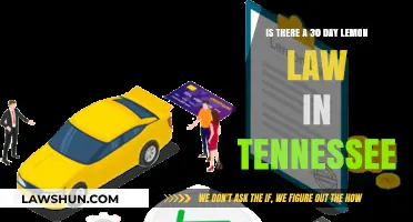 Tennessee Lemon Law: Does the 30-Day Rule Protect Car Buyers?
