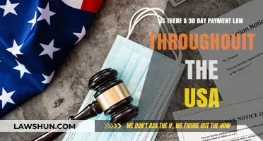 Understanding USA's 30-Day Payment Law: Nationwide Applicability Explained