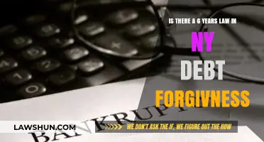 Understanding New York's 6-Year Statute of Limitations for Debt Forgiveness