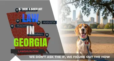 Georgia's Mental Health Laws: Understanding the Baker Act Equivalent