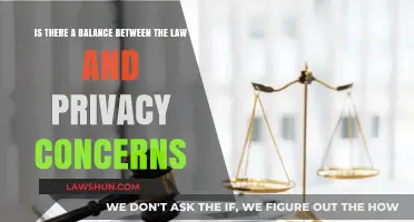 Balancing Act: Navigating Legal Boundaries and Privacy Rights in the Digital Age