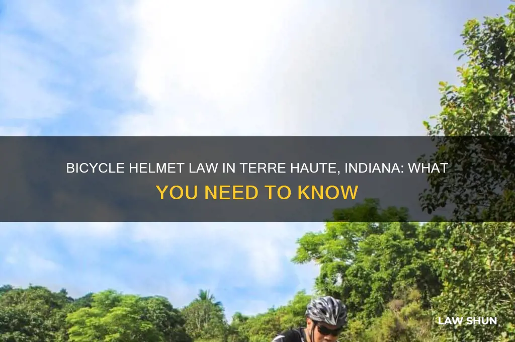 is there a bicycle helmet law in terre haute indiana