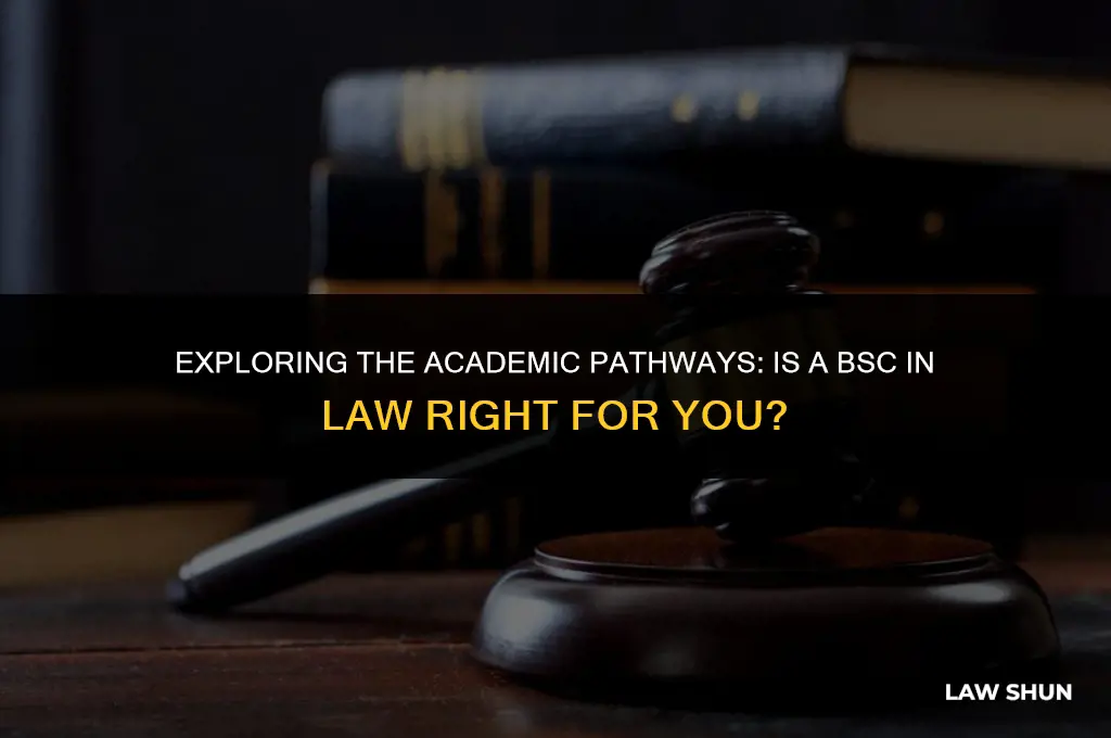 is there a bsc in law
