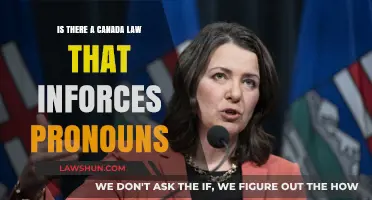 Canadian Laws: Enforcing Respectful Pronoun Usage
