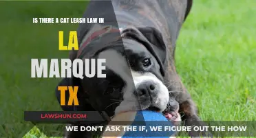 La Marque, TX Cat Leash Law: What Owners Need to Know