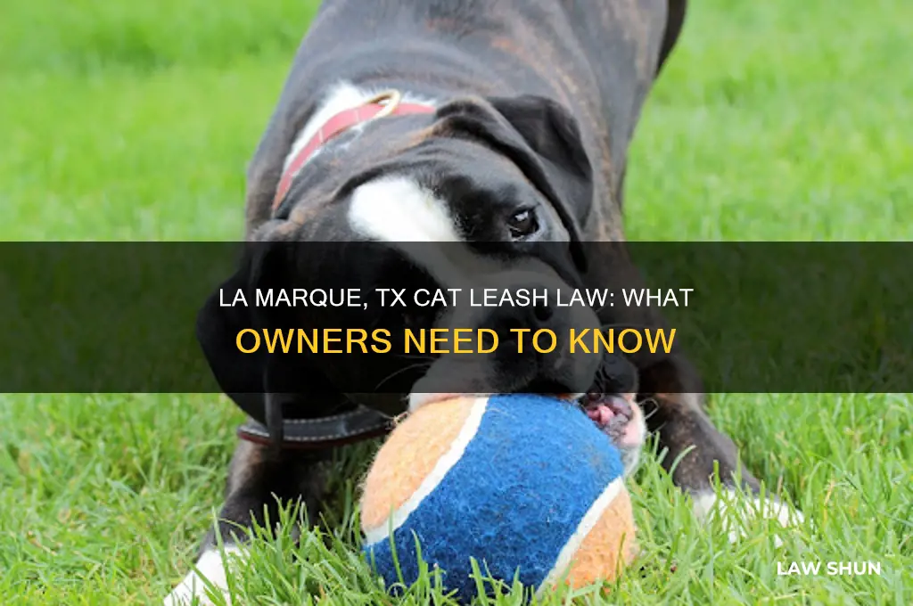 is there a cat leash law in la marque tx