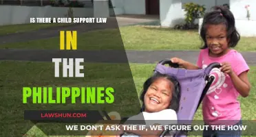 Understanding Child Support Laws in the Philippines: What You Need to Know