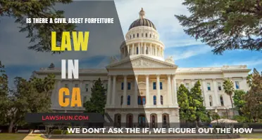 California's Civil Asset Forfeiture Law: What You Need to Know