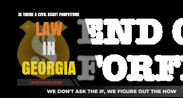 Georgia's Civil Asset Forfeiture Law: What You Need to Know