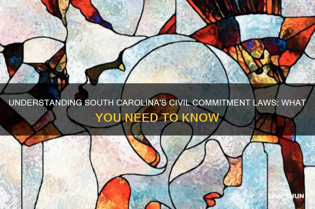 is there a civil commentent law in south carolina