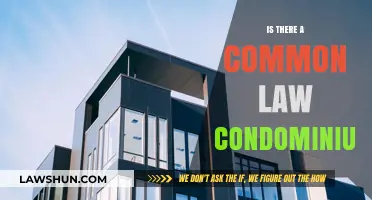 Understanding Condominium Ownership Through Common Law