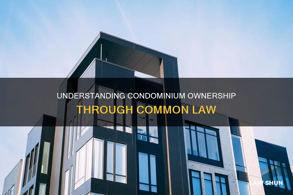 is there a common law condominium