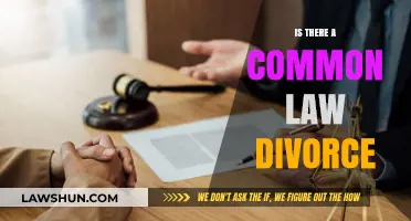 Understanding Common Law Divorce: Myth or Reality?