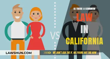 California's Common Law: What's the Deal?