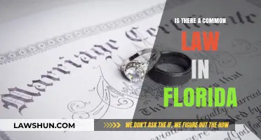 Florida's Common Law: What's the Deal?