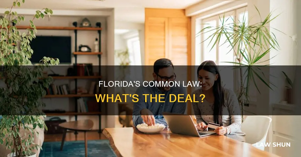 is there a common law in florida