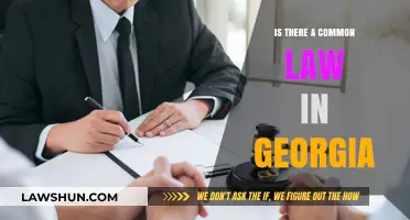 Common Law in Georgia: What's the Deal?