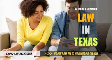 Texas Common Law: What's the Deal?