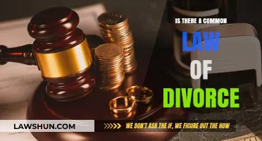 Understanding Divorce: Common Law or Not?