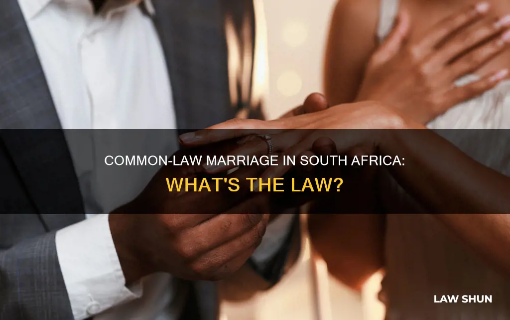 is there a common law wife in south africa