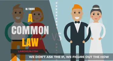 Common Law: Is It a Universal Truth?