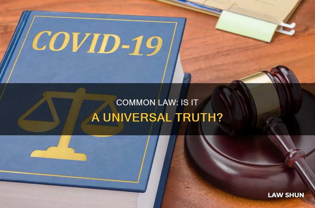 is there a common law