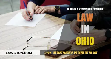 Ohio's Property Laws: Does Community Property Exist in the Buckeye State?