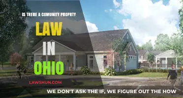 Understanding Ohio's Community Property Laws: What You Need to Know