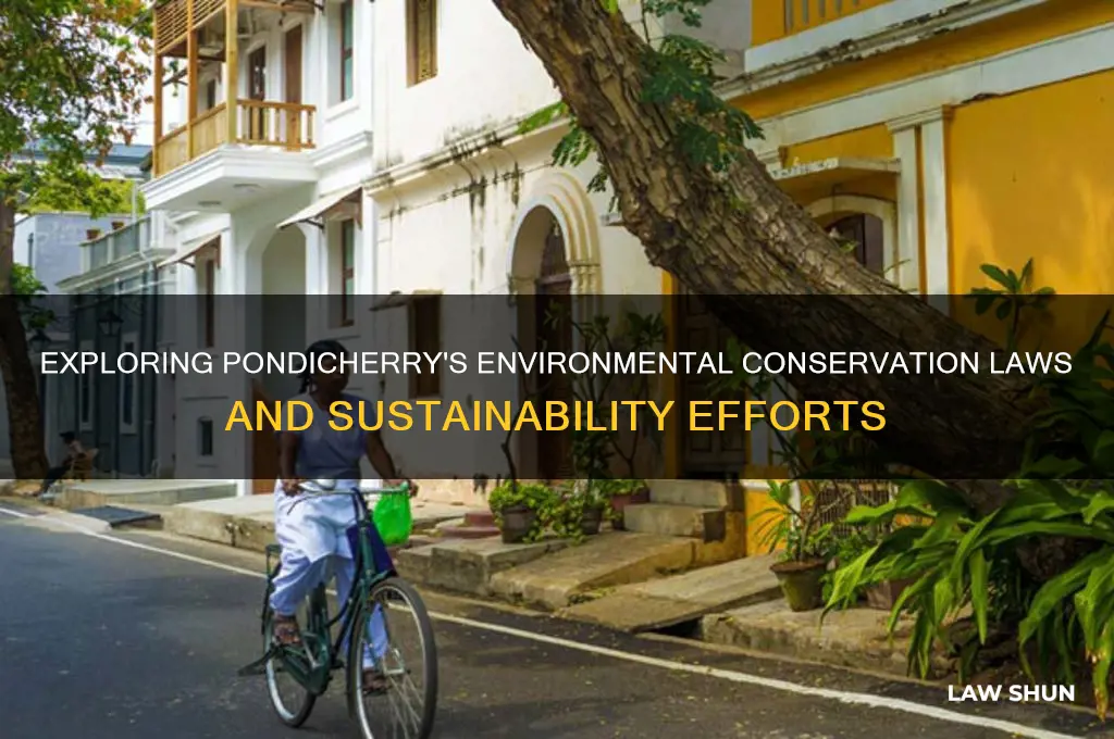 is there a conservation law in pondicherry