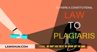 Plagiarism and the Law: Constitutional Rights and Wrongs