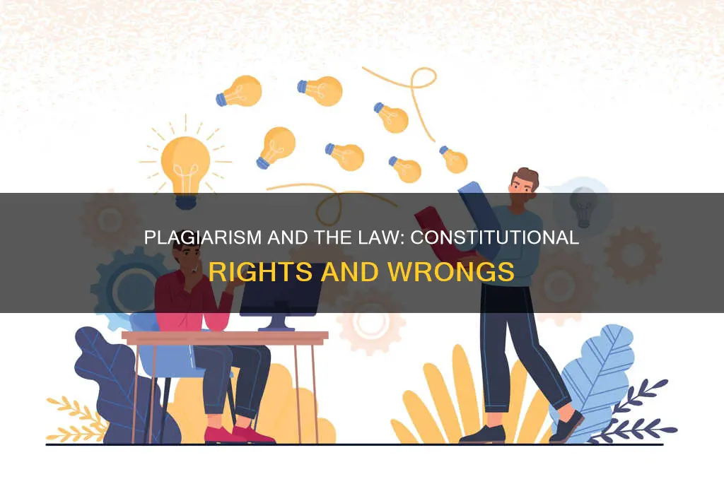 is there a constitutional law to plagiarism