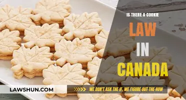 Cookie Law in Canada: What You Need to Know