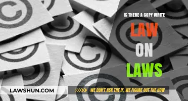 Are Legal Statutes Protected by Copyright Law? Exploring the Legal Gray Area