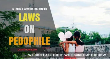 Exploring Nations: Are There Countries Without Pedophilia Laws?