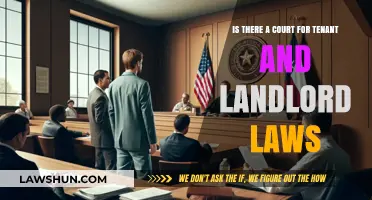 Navigating Tenant-Landlord Disputes: Understanding the Legal Court System