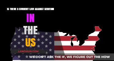 Sedition Laws in the US: Current Status and Legal Implications