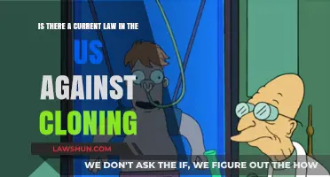 Is Human Cloning Legal in the US? Current Laws Explained