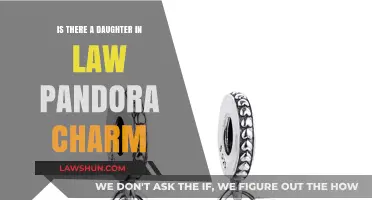 Daughter-in-Law Pandora Charm: A Thoughtful Gift Idea?