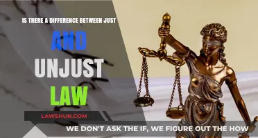 Just vs Unjust Laws: What's the Difference?
