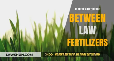 What's the Difference Between Organic and Synthetic Fertilizers?