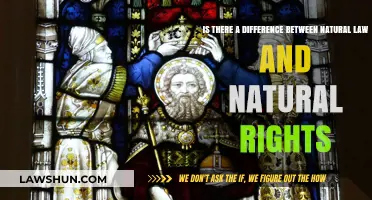 Natural Law vs. Natural Rights: What's the Distinction?